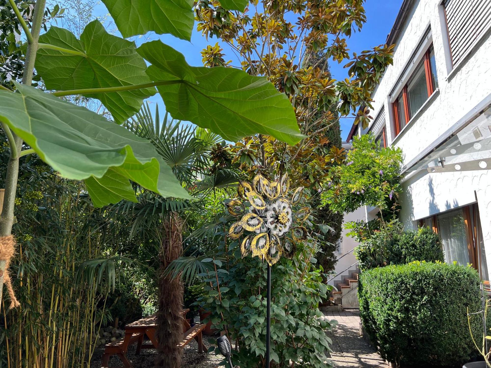 Haus Pia Executive Apartments FDH Стая снимка