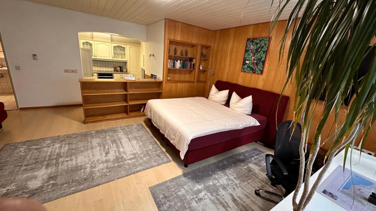 Haus Pia Executive Apartments FDH Екстериор снимка